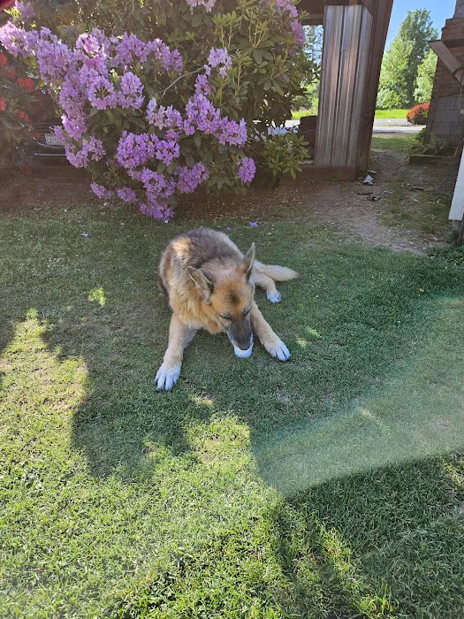 Barrier Dam Campground Picture 8