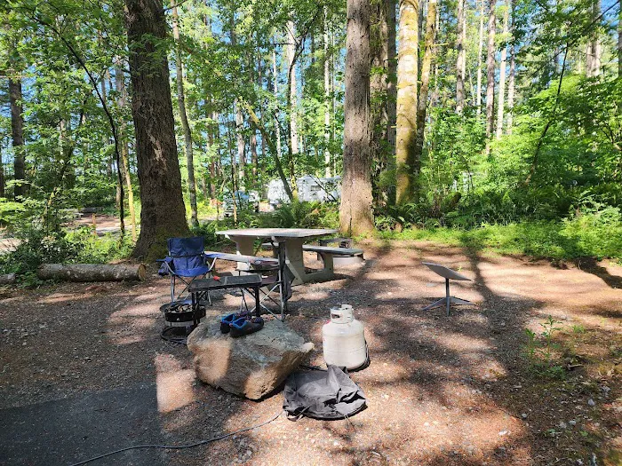 Ike Kinswa State Park Campground Picture 20