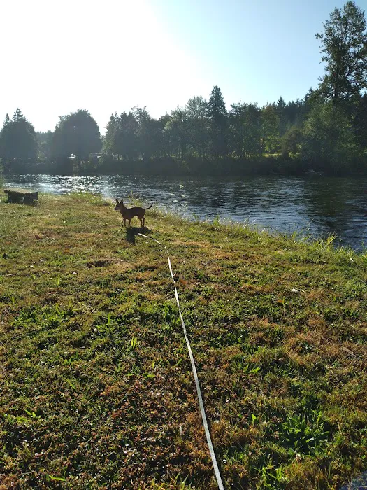 RiversEdge Lodge & RV Park Picture 4