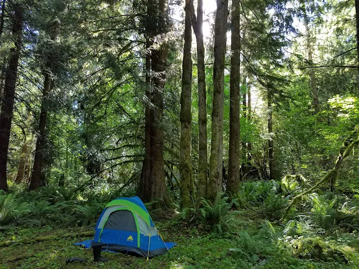 Winston Creek Campground Picture 2