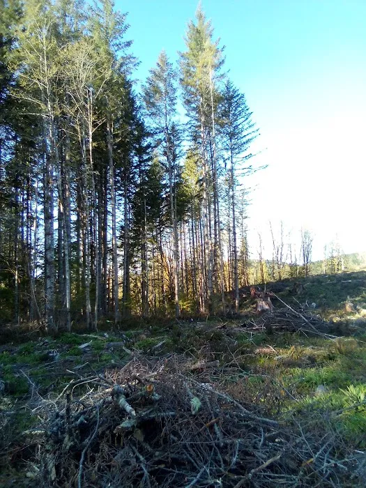 Winston Creek Campground Picture 1