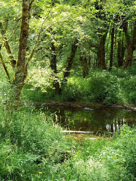 Winston Creek Campground Picture 4