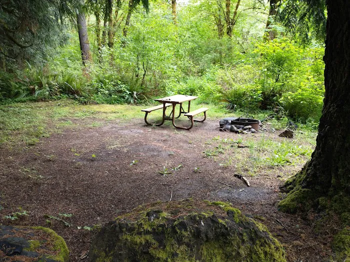 Winston Creek Campground Picture 7