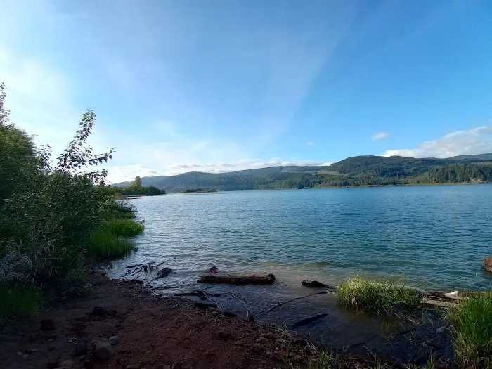 Riffe Lake Campground Picture 6