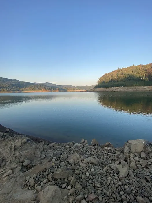 Riffe Lake Campground Picture 5