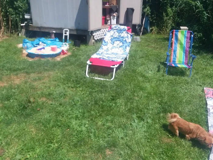 Cedar Springs Mobile Home Park Picture 4