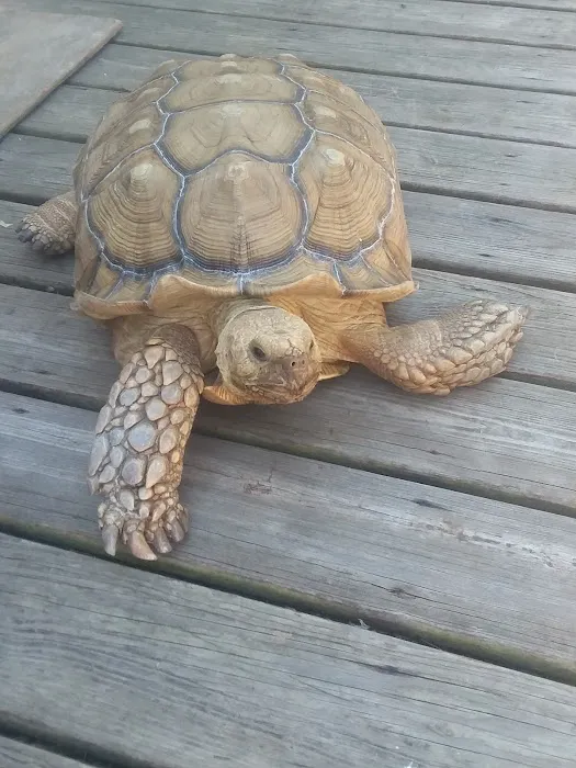 Cedar Springs Mobile Home Park Picture 1