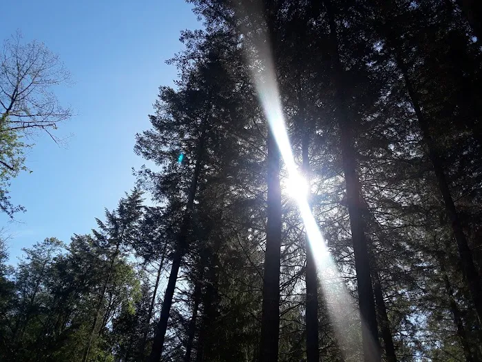 Kid Valley Campground Picture 5