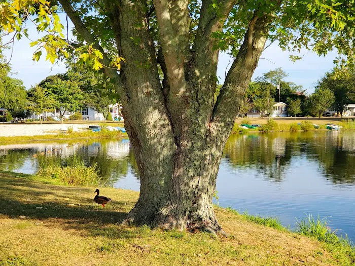 Garden Lake Park & Sales Picture 8