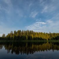 Delsea Woods Community LLC ico