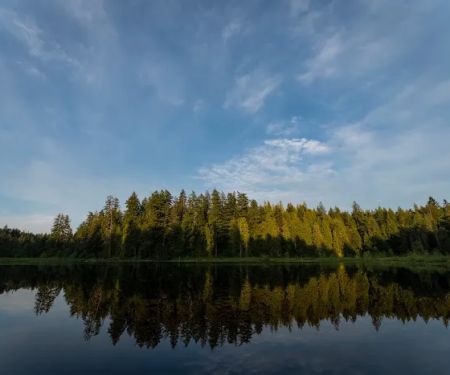 Delsea Woods Community LLC