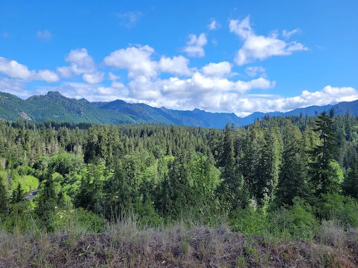 Coho Campground Picture 3