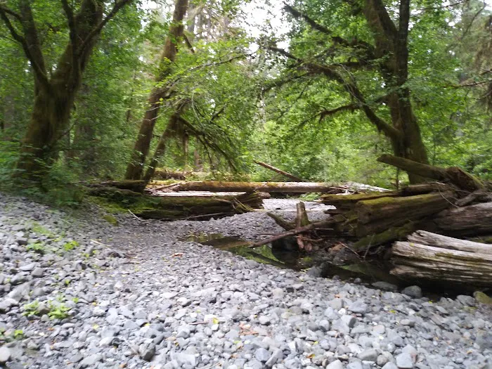 Campbell Tree Grove Campground Picture 4