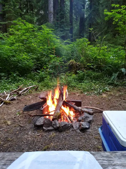 Campbell Tree Grove Campground Picture 2