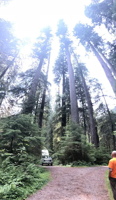 Campbell Tree Grove Campground Picture 5