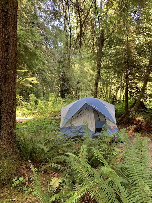 Campbell Tree Grove Campground Picture 9