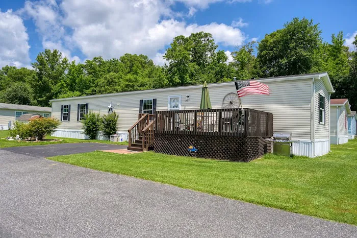 Martin Creek Stock Camp Picture 9