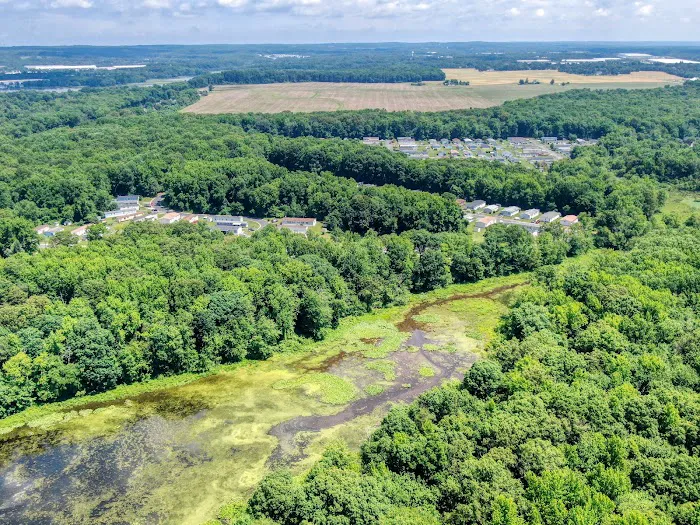 Martin Creek Stock Camp Picture 2