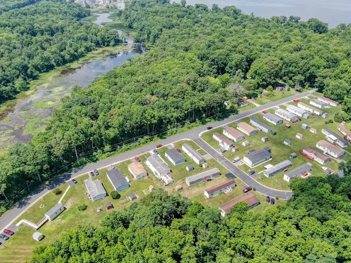 Martin Creek Stock Camp Picture 8