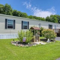 Martin Creek Stock Camp ico