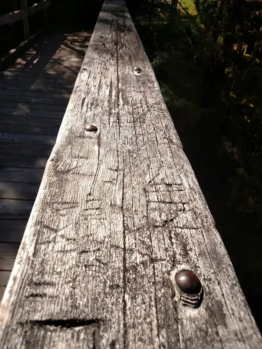 Elk Lake Picture 3