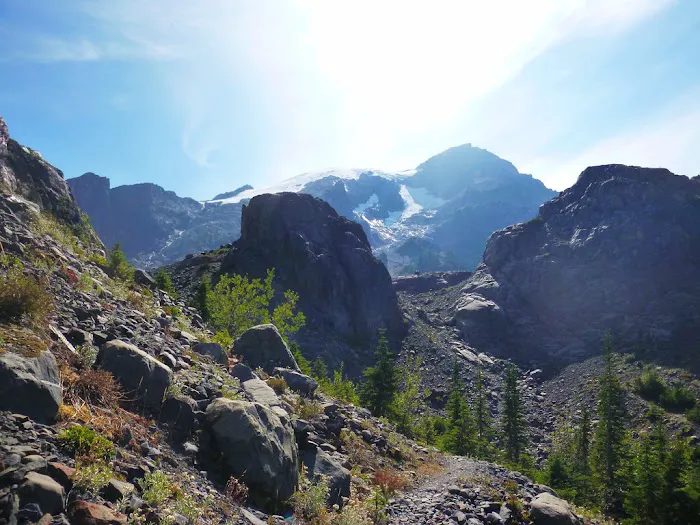 Glacier Meadows Picture 6