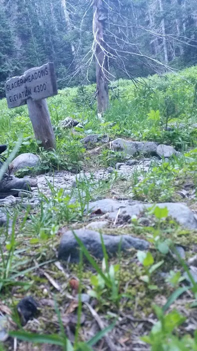 Glacier Meadows Picture 9