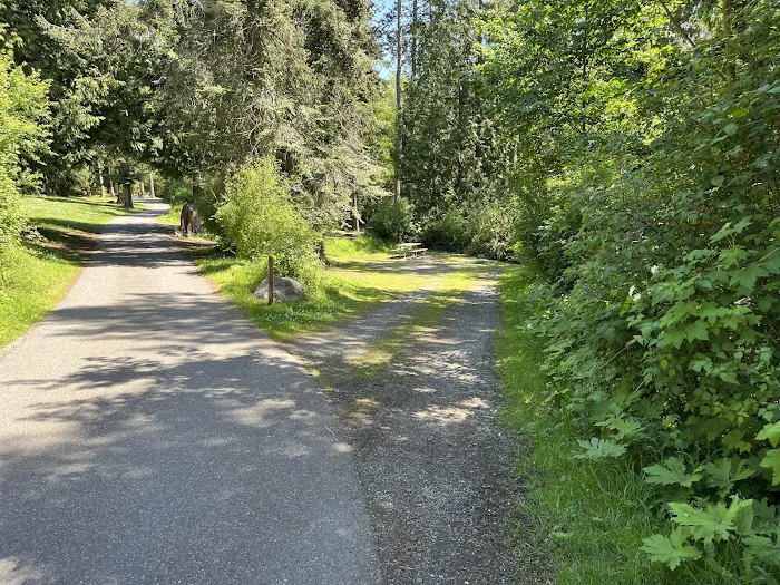Quarry Pond Campground, Deception Pass State Park Picture 4
