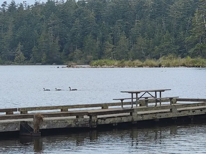Cranberry Lake Campground Picture 4
