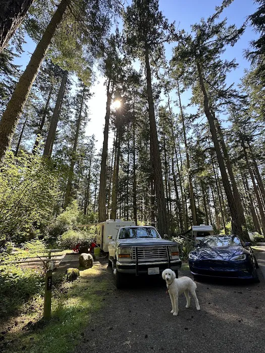 Cranberry Lake Campground Picture 9