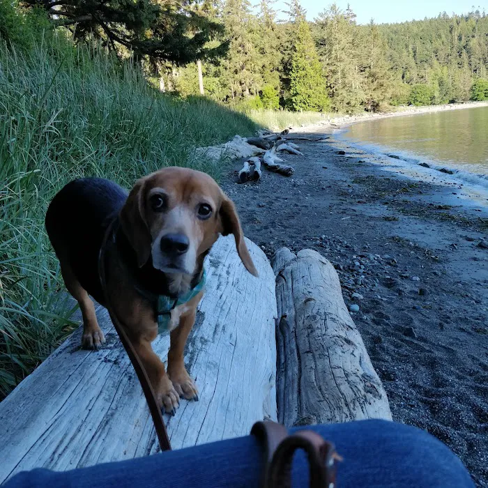 Bowman Bay Campground Picture 3