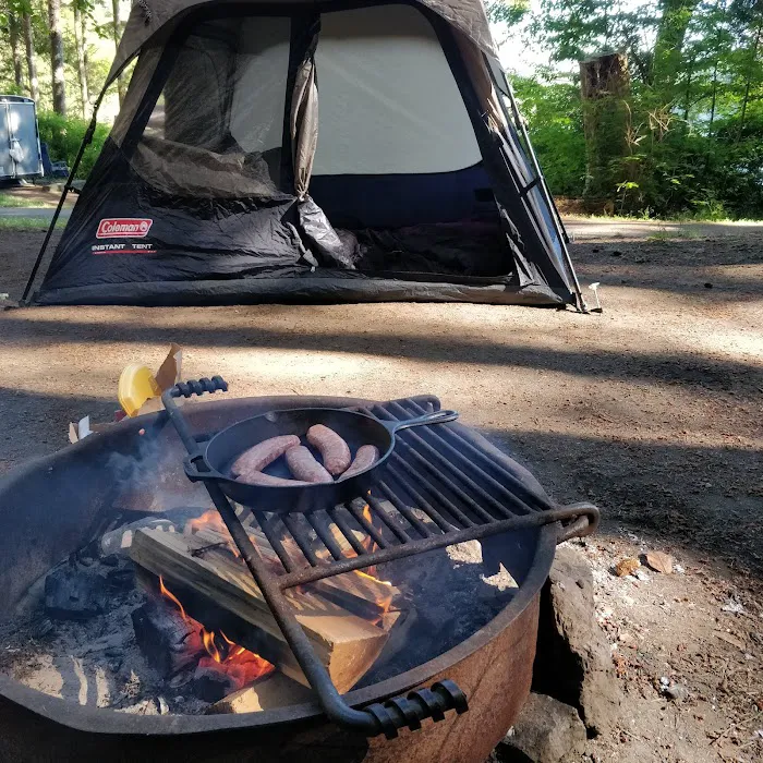 Bowman Bay Campground Picture 4