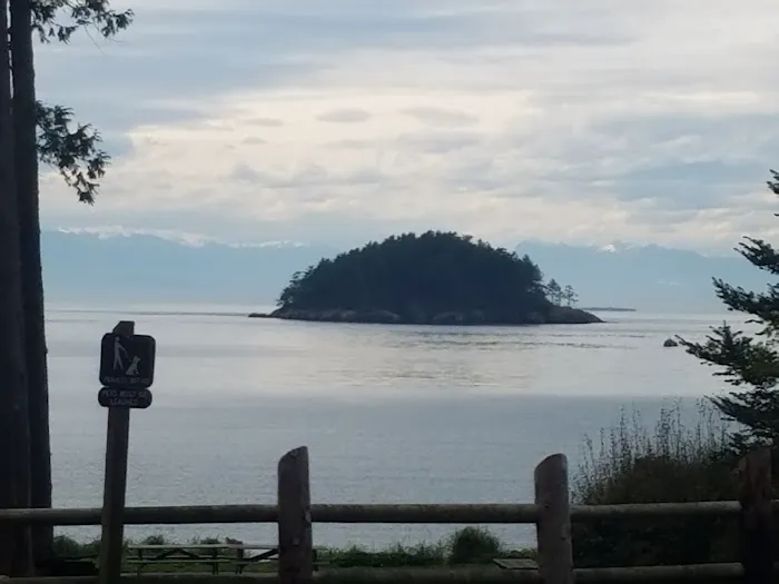 Bowman Bay Campground Picture 7