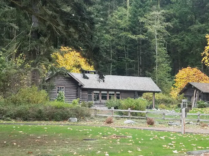 Bowman Bay Campground Picture 6