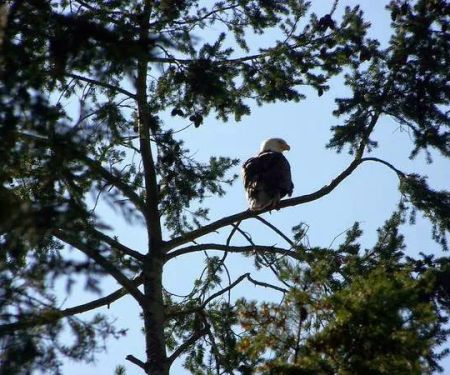 Thousand Trails La Conner
