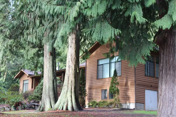 Lake Connor Park Picture 8