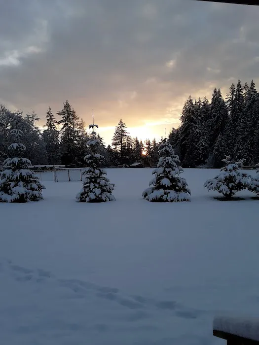 Cascade Park Camp Picture 6