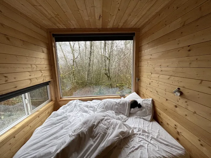 Postcard Cabins Skagit Valley Picture 3