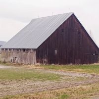 Happy Little Farm (currently closed) ico