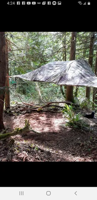 Tree Tent Park Picture 3