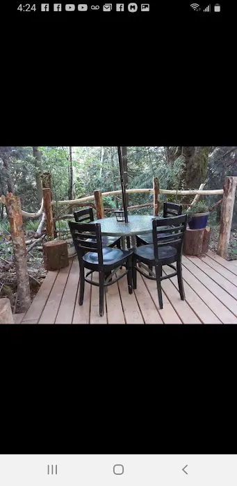 Tree Tent Park Picture 10