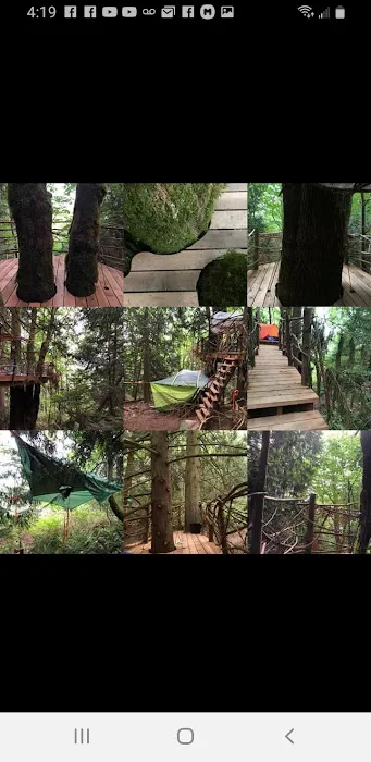 Tree Tent Park Picture 7
