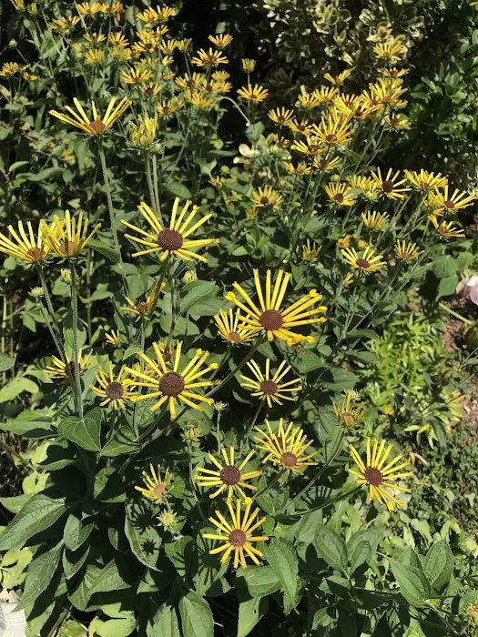 Chiquesville MHP Picture 1