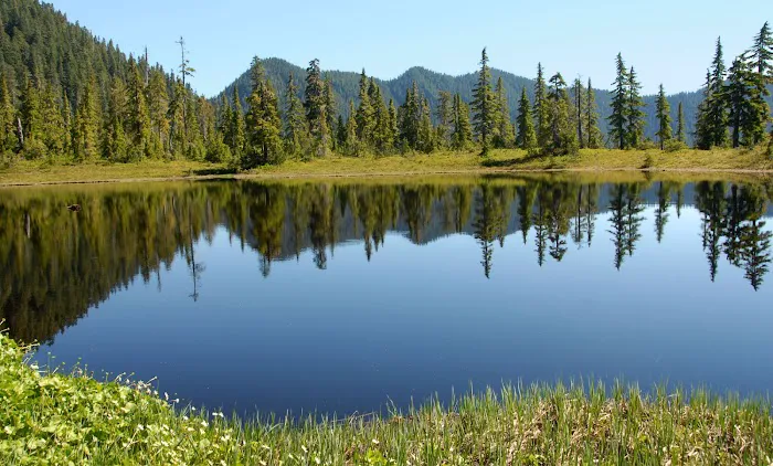 Three Lakes Campground, Olympic National Park Picture 1