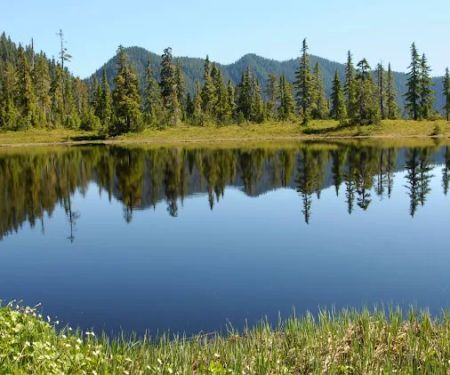 Three Lakes Campground, Olympic National Park