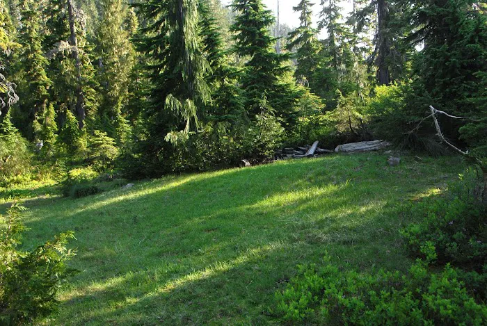 Three Lakes Campground, Olympic National Park Picture 2