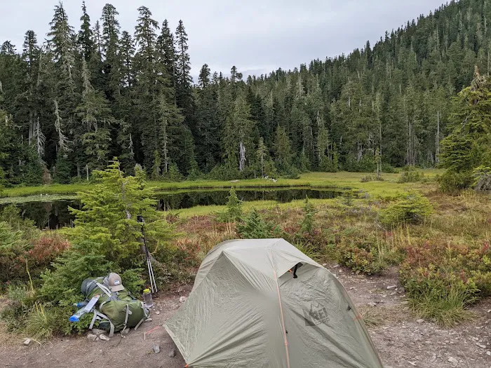 Three Lakes Campground, Olympic National Park Picture 6