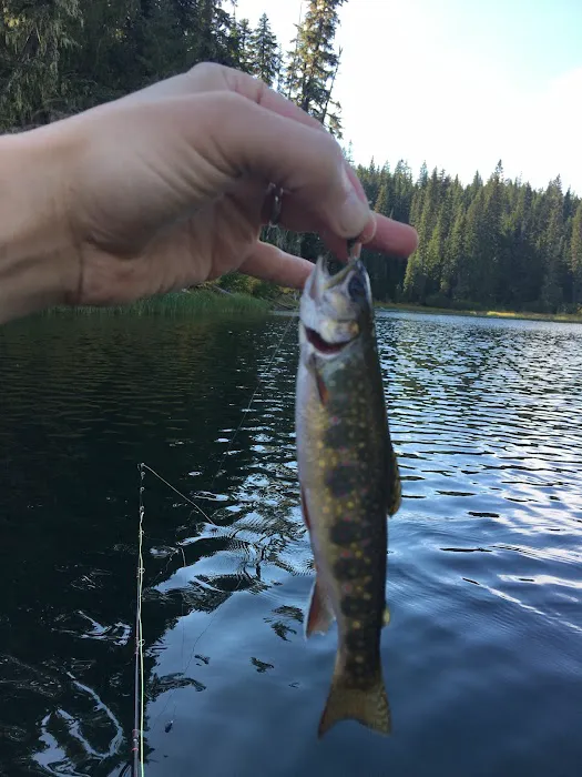 Chambers Lake Campground Picture 1