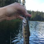 Chambers Lake Campground