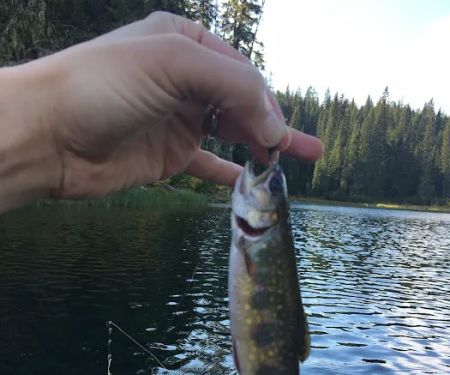 Chambers Lake Campground
